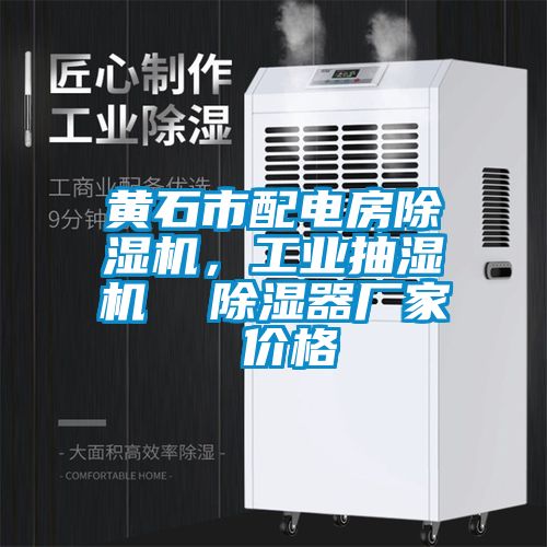 黃石市配電房除濕機(jī)，工業(yè)抽濕機(jī)  除濕器廠家 價格