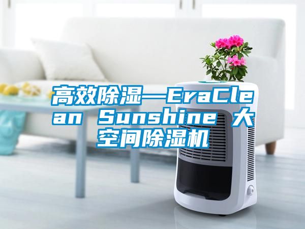 高效除濕—EraClean Sunshine 大空間除濕機